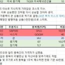 나나장