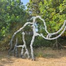 전곡선사박물관 이미지