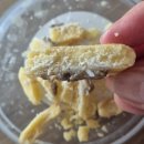 오늘도멍냥 이미지