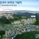 삼정그린코아 앞 이미지