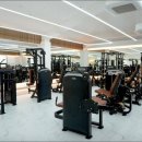 머슬 타임 이미지