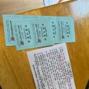 헤어마당 소쿠리 | [동해] 망상제2오토캠핑장 A존 6인용 카라반 이용후기