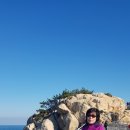 울산 이미지
