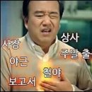 비아트래블
