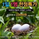 풍창농장 네이버블로그