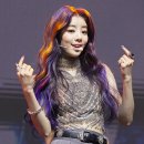 퍼플홀 이미지