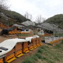 칠갑산 꿀농원 이미지