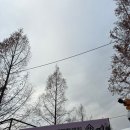 하모나이즈 해피홀릭 콘서트 | 20251227 브라운아이드소울 브아솔 콘서트 Tricycle 후기(셋리스트, 고척 스카이돔 대중교통,표 현장수령)