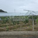 청통보건지소 이미지