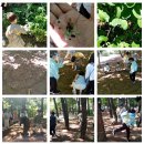 헤세드영재학원