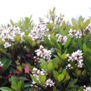 (주)나무 이미지