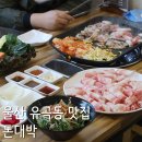돈대박유곡점 | 울산혁신삼겹살, 울산 유곡동 대패삼겹살 맛집 돈대박 쌈밥 추천