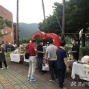 참살이장터