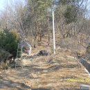 다리건너하얀집민박 이미지