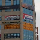 경희대솔밭태권도 이미지