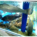 연제초등학교 이미지