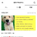 쫄면구역&돈까스