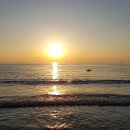 인천영종도왕산해수욕장 광어낚시도전기 이미지