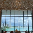 대한인사행정사 이미지