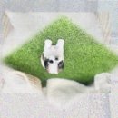 구리동물보호센터 이미지