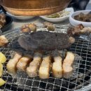 투애니투 이미지