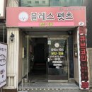 대전펫츠 네이버블로그