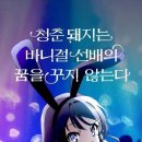 청춘돼지 - 남양주시 | 청춘돼지