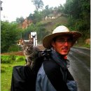 가방위에 고양이 이미지