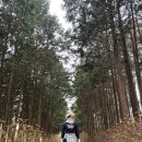 복하천 갈대멋짐길 | 제주 사이프러스CC 대중제 회원제 골프장 라운딩 후기