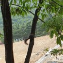 시카고정형외과의원 이미지