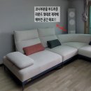 에코플래닛 | 레드플래닛 천안점 트리톤3 소파 배송후기, 역시 맞춤제작은 다르네요