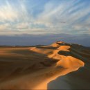 디오니스 이미지