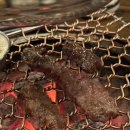 단골목장 이미지