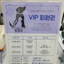 또멍냥 이미지