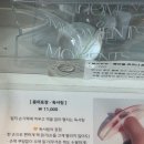 행복을 느낄 수 있는 수원 행궁동 문구소품샵 방문 후기(예스투투 단추 그립톡 후기, 독서링, 책갈피 등등