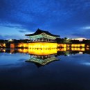 주정차단속-054 이미지