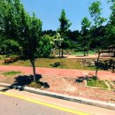 두루봉근린공원 이미지