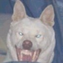 향촌수제화센터 이미지