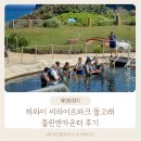 하와이 | 하와이 씨라이프파크 돌고래 돌핀엔카운터 후기