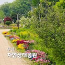 시민학습원 | 부천자연생태공원 후기: 주차, 봄꽃전시, 입장료, 포토존 총정리