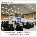 영신여객㈜ | 부산아이랑 어디 가야 할지 고민된다면, 이 행사만은 절대 놓치지 마세요