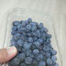 베리사오 네이버블로그