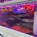심야식당 꾼
