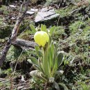 황룡 산장 이미지