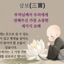 삼보의 뜻 이미지