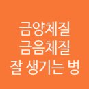 건강플러스365