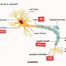 교육심리학 이미지
