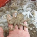 모두케어 이미지