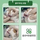 클로버 동물병원 이미지