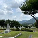 춘산메밀꽃 | 춘산 메밀 꽃 막국수 후기 | 대전 국립묘지 근처 맛집, 웨이팅 있지만 빠른 이유